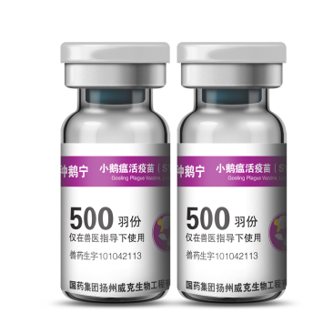 种鹅宁【小鹅瘟活疫苗（SYG26-35种鹅）】